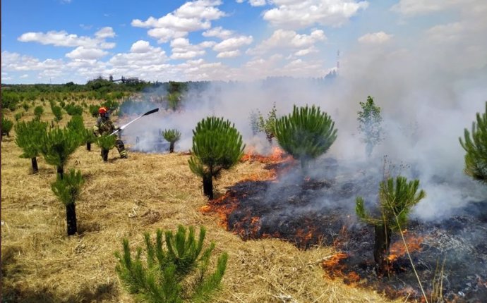 Ampl.- Incendios.- Sofocado el fuego en Valladolid que ha afectado al 'Bosque de los Sueños' en Soto de Medinilla