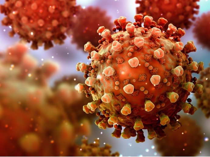 Coronavirus.- El COVID-19 daña el sistema endocrino, según un estudio