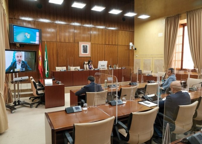 Vista general de la sesión telemática de la Subcomisión de Reactivación Económica de la comisión de estudio para la recuperación de Andalucía, con mamparas instaladas entre los diputados.