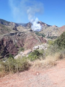 Incendio forestal en Hinojares (Jaén)