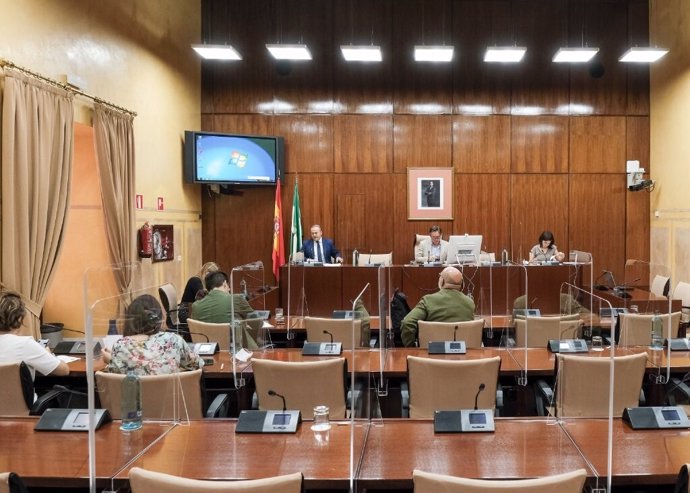 Foto de archivo de una sesión de la comisión de estudio sobre la recuperación económica y social de Andalucía a causa de la pandemia del Covid-19.