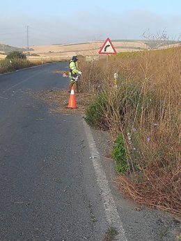 Actuaciones de la Consejería de Fomento, Infraestructuras y Ordenación del Territorio para conservar y mantener los márgenes de carreteras en la provincia de Cádiz.