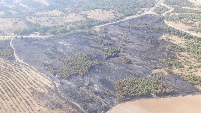 Zona afectada por el incendio de Belalcázar