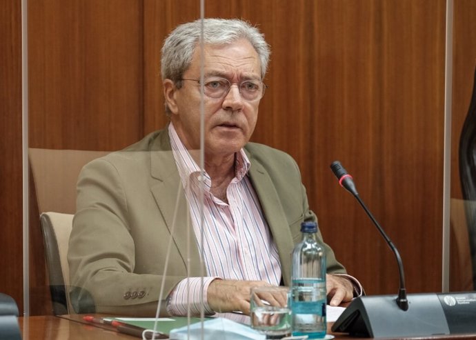 El consejero de Economía, Rogelio Velasco, este lunes durante su comparecencia en el Parlamento.