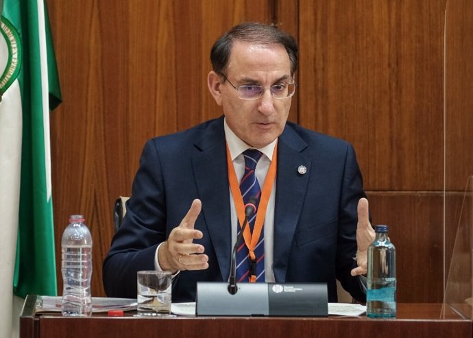El presidente de la CEA, Javier González de Lara, durante su comparecencia este lunes en el Parlamento de Andalucía.