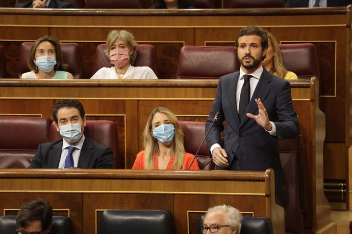El líder del PP, Pablo Casado, en el Pleno del Congreso. En Madrid (España), a 24 de junio de 2020. 