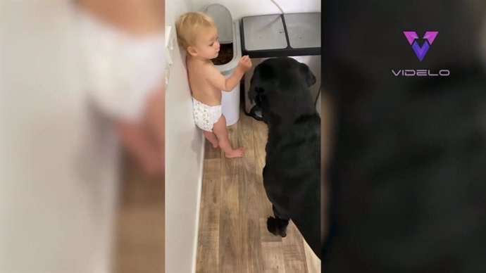 Pillan 'in fraganti' a este bebé de 11 meses dando de comer al perro de la familia
