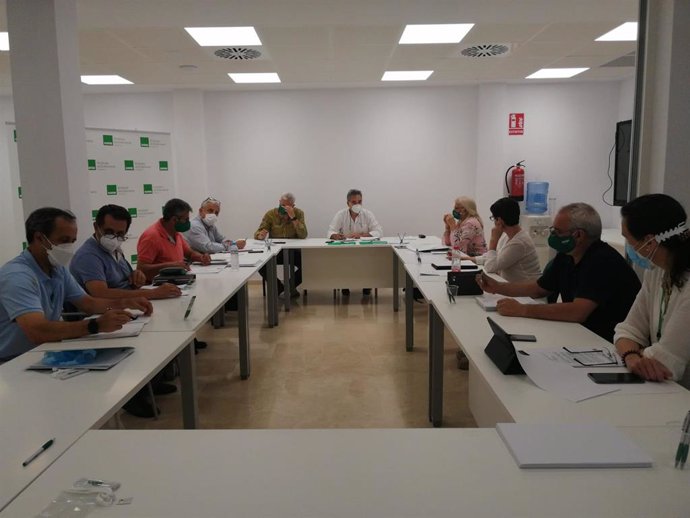 Reunión del Comité Ejecutivo Autonómico de Satse Andalucía.