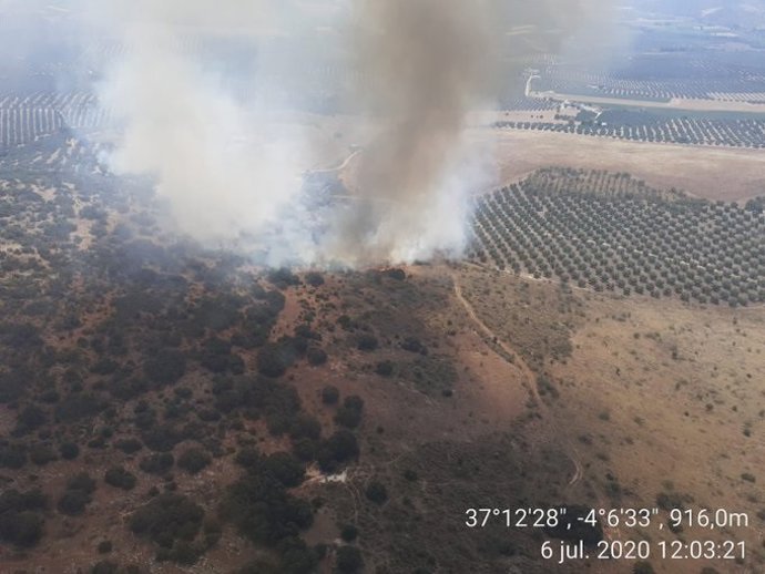 Incendio forestal declarado en un paraje de Loja (Granada)