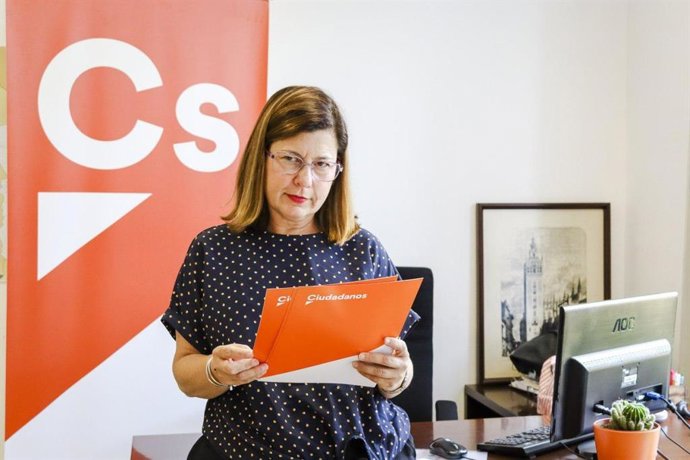 Santa María, portavoz de Cs en la Diputación