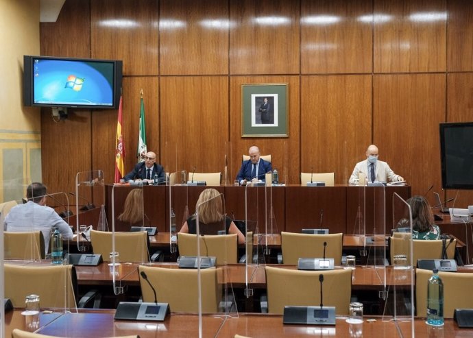Imagen de la Subcomisión de Políticas Sociales y demás políticas essenciales del Parlamento de Andalucía, que este lunes ha celebrado una sesión.
