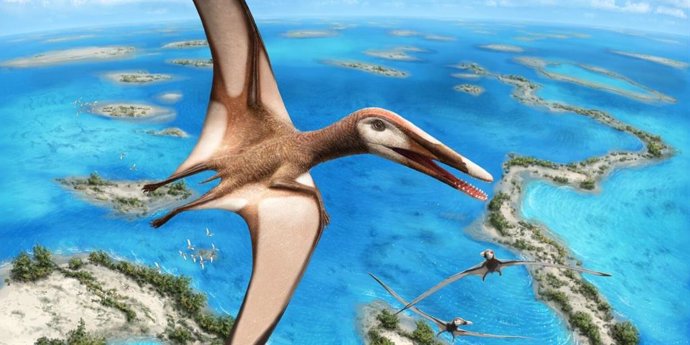 Descubierto un pequeño pariente antiguo de dinosaurios y pterosaurios