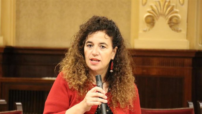 La consellera de Presidencia y Cultura, Pilar Costa, en el Parlament.