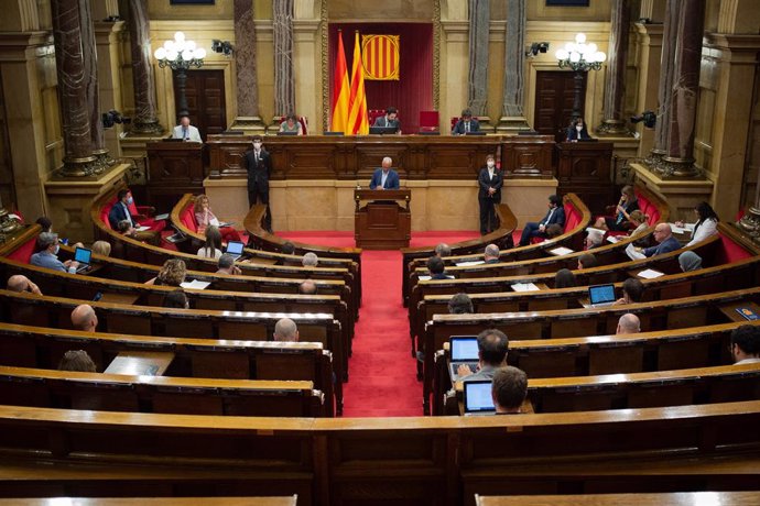 Ple monogrfic del Parlament de Catalunya sobre les residncies de la tercera edat, aquest dimarts 7 de juliol del 2020.