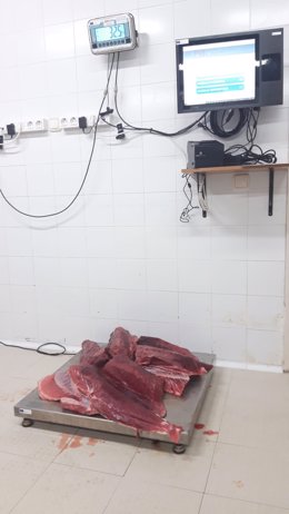 Sucesos.- Decomisan más de 32 kilos de atún rojo en un barco de pesca recreativa