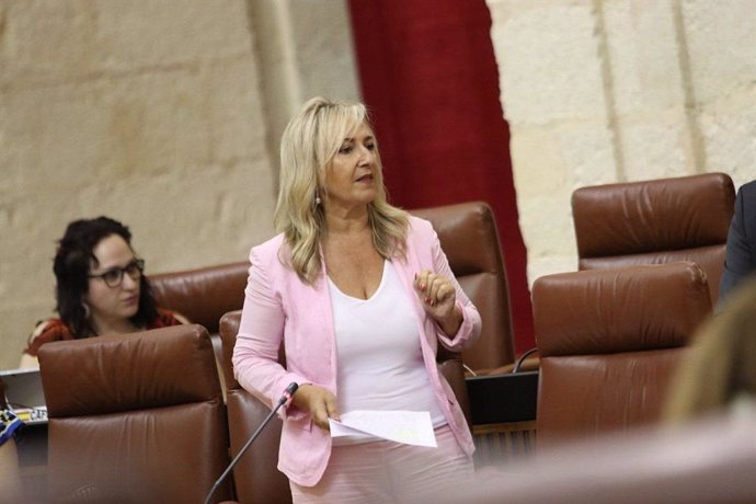 La diputada de Ciudadanos por Sevilla en el Parlamento de Andalucía, Ana Llopis