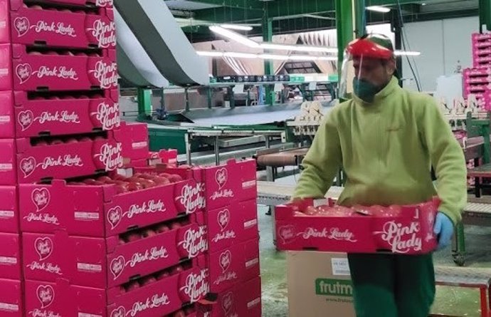 Un trabajador de una empresa frutícola.