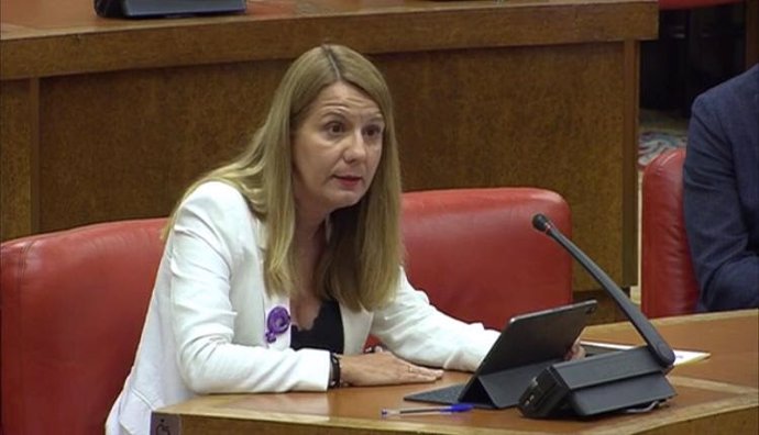 La portavoz del PSOE en Derechos Sociales, Snia Guerra