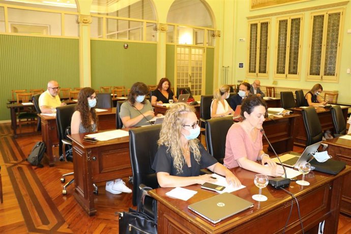 Comisión de Asuntos Institucionales celebrada este miércoles en el Parlament.
