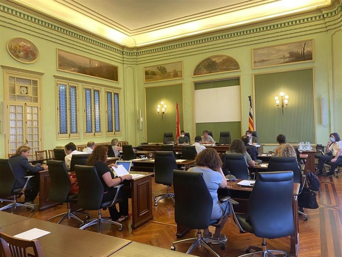 Comisión de Medio Ambiente y Ordenación Territorial del Parlament balear