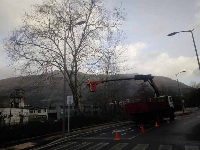 URAko langileak itzal platanondo bat mozten Urolaren ibaiertzan, Azkoitian