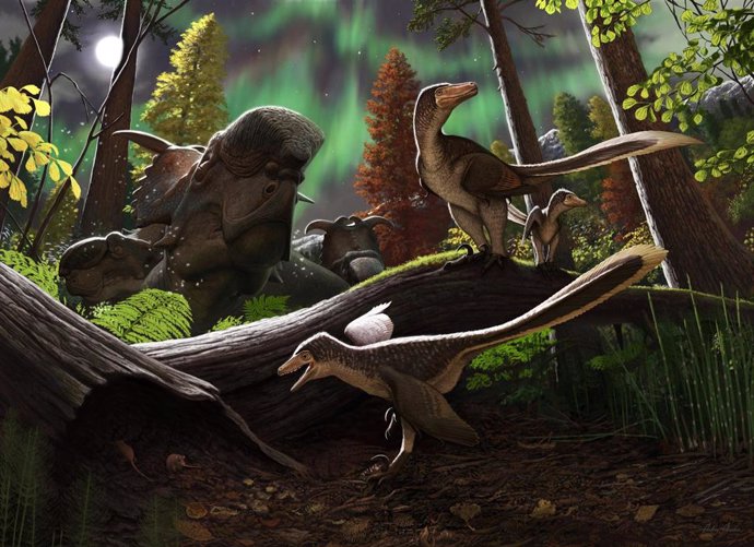 Reconstrucción del dinosaurio dromaeosaurio juvenil del Ártico