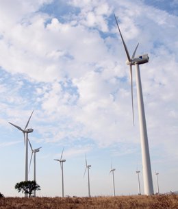 Foto recurso de molinos de energía eólica en Andalucía