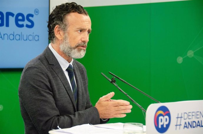 El vicesecretario de Sectores Productivos del PP-A y portavoz adjunto del Grupo Popular en el Parlamento, Pablo Venzal, en rueda de prensa.