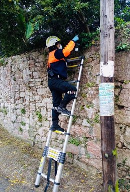Voluntarios de Protección Civil de Oviedo colocan trampas para la avispa asiática.