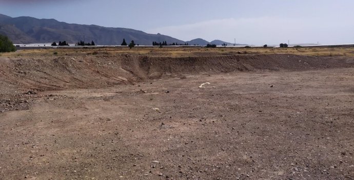 Almería.- Científicos alertan de la pérdida de artales y azufaifares en el Ponie