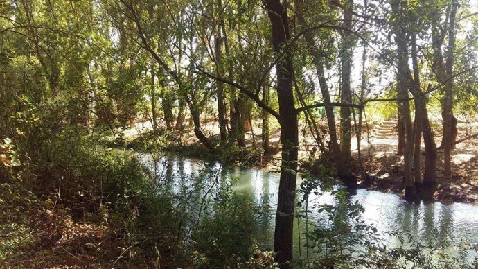 Paraje por el que discurrirá el sendero