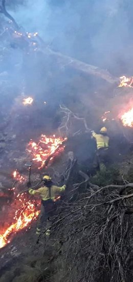 Efectivos del Infoca trabajando en la extinción del incendio de Quesada