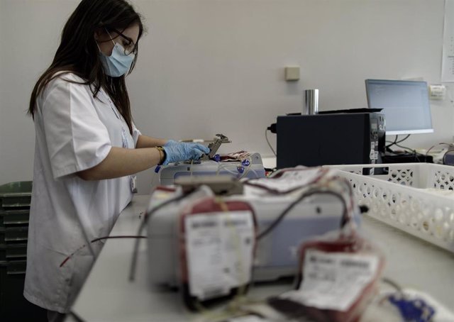 Una sanitaria separa las bolsas de transfusión de sangre antes de introducirlas en la centrifugadora para separar los componentes de la sangre en el Centro de Transfusión de la Comunidad de Madrid (s/n Distrito, Av. de la Democracia), centro que ha hecho 