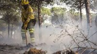 Controlado un incendio en el paraje Asperillas de Cantillana (Sevilla)