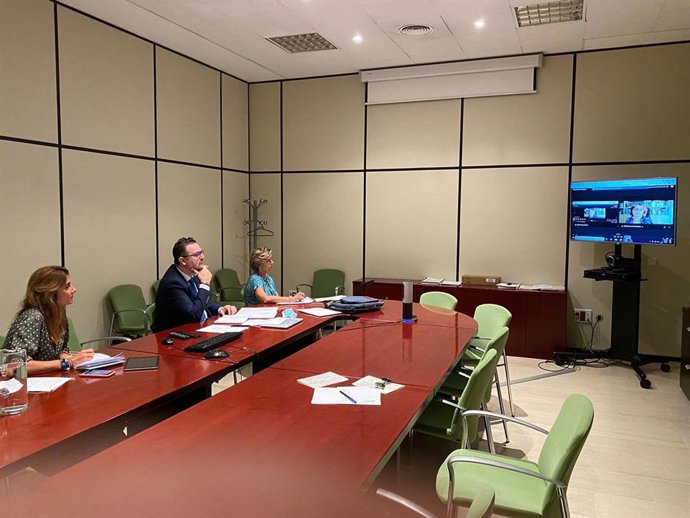 Comisión Intersectorial de Familias aborda políticas fiscales de apoyo a las familias andaluzas