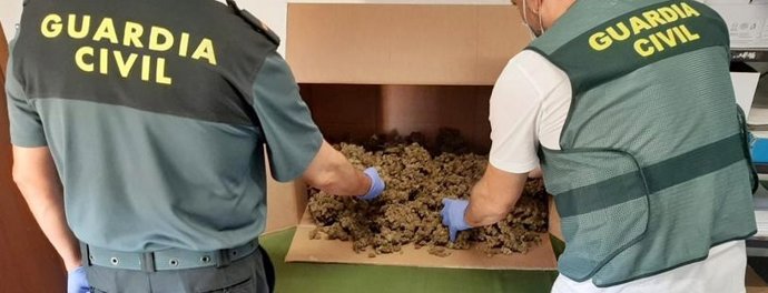 Guardia Civil con los cogollos intervenidos en Rena