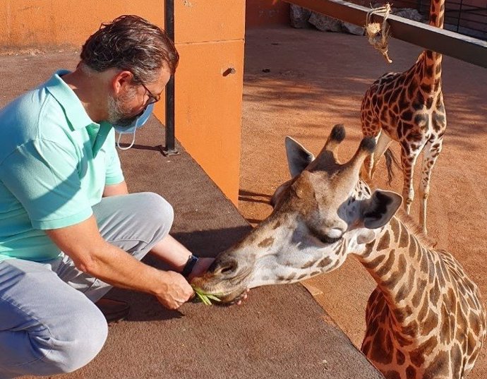 David Dorado da de comer a una de las jirafas del Zoo de Córdoba.