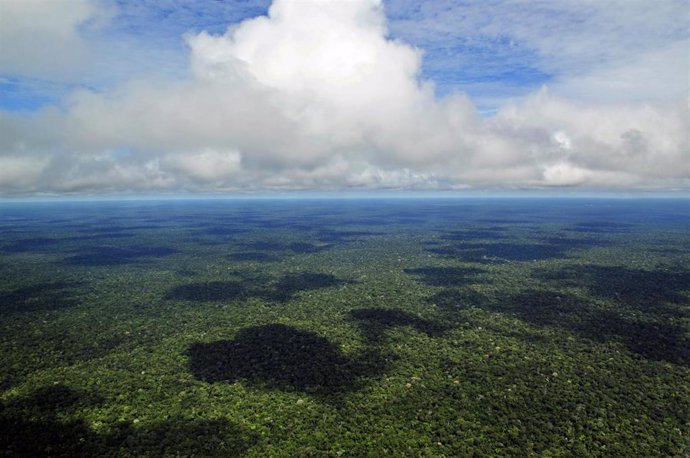 Imagen de archivo de la Amazonía brasileña. 