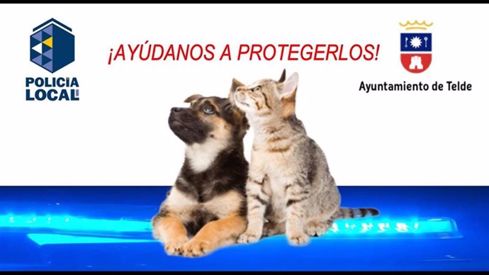 Imagen de la campaña contra el maltrato animal promovida por el Ayuntamiento de Telde