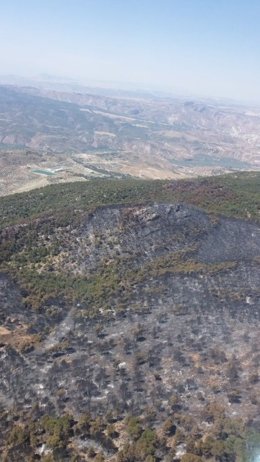 Zona afectada por el incendio de Quesada