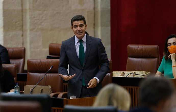 El portavoz del grupo parlamentario Ciudadanos, Sergio Romero, en una foto de archivo en el Pleno del Parlamento de Andalucía. 