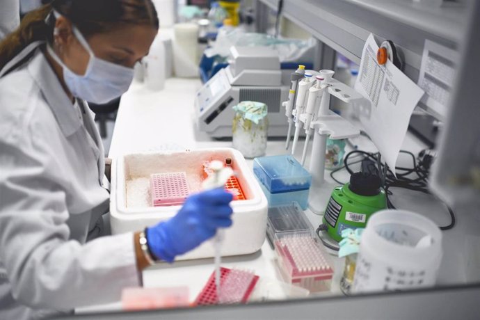 Una empleada trabaja en el Instituto de Investigación del Hospital Universitario La Paz en el que se desarrolla un proyecto de investigación sobre el coronavirus para dar con la raíz que permita frenar las consecuencias de la pandemia, en Madrid (España)