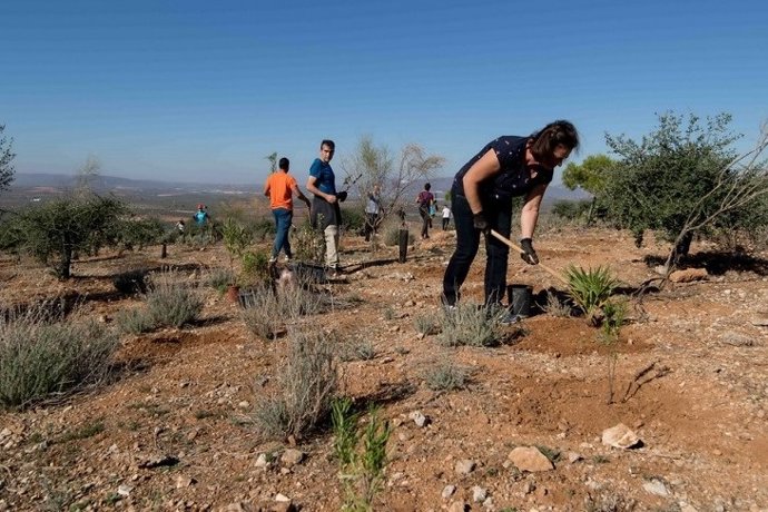 Plantaciones participativas.
