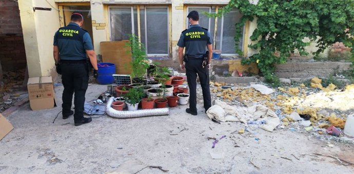 Rescatados nuevos perros abandonados en Villafranca e intervenidas 25 plantas de marihuana.