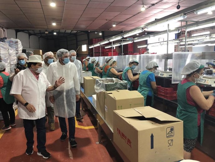 El consejero de Agua, Agricultura, Ganadería, Pesca y Medio Ambiente, Antonio Luengo (2d), durante su visita a la empresa Frutas Torero, en Abarán
