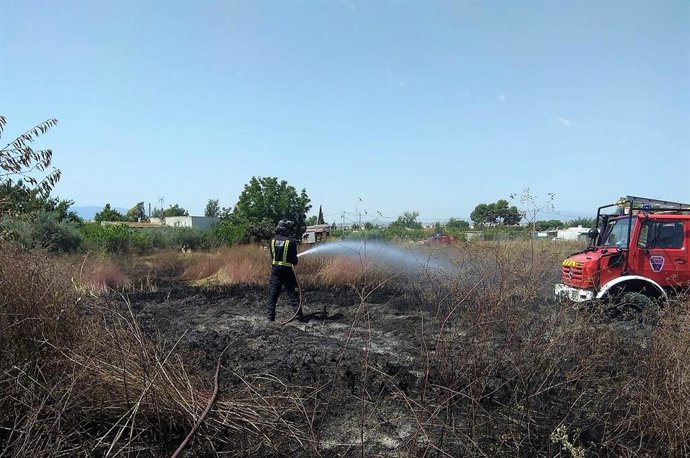 Sucesos.- Bomberos del CEIS apagan un incendio de bancales y cultivos abandonado