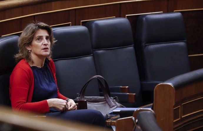 La vicepresidenta cuarta y ministra para la Transición Ecológica, Teresa Ribera , en un Pleno del Congreso