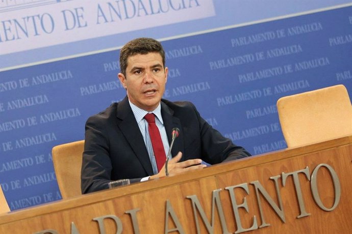 El portavoz parlamentario de Ciudadanos (Cs) en Andalucía, Sergio Romero, en una foto de archivo.