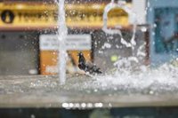 El 112 amplía la alerta amarilla por altas temperaturas este miércoles en Vegas del Guadiana, Villuercas y Montánchez