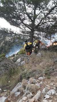 Declarado un incendio forestal en Cabra del Santo Cristo (Jaén)